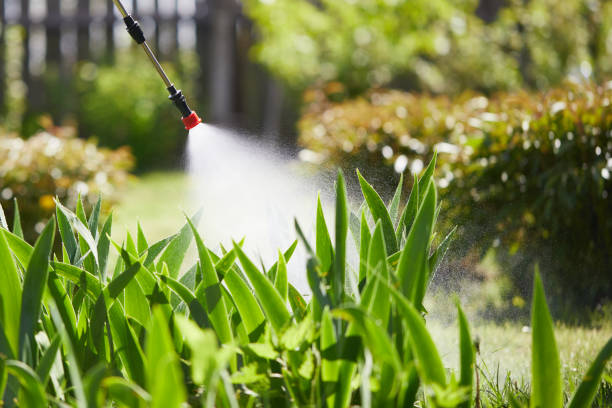 24/7 Emergency Fumigation Services experts in Germantown, IL