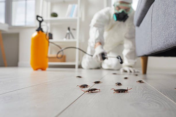 Trusted Bed Bug Control service in Germantown, IL - Nex Pest Control